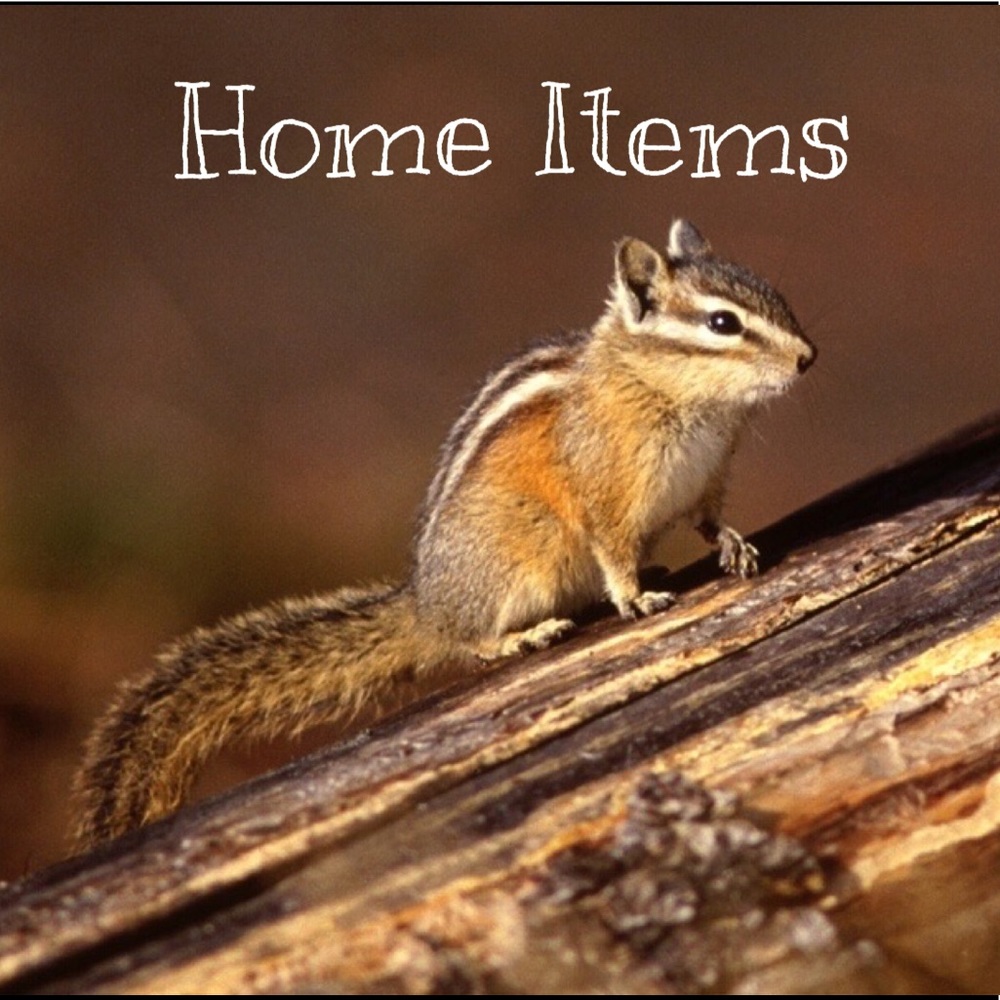 🏠 Home and Craft Section! 🏠